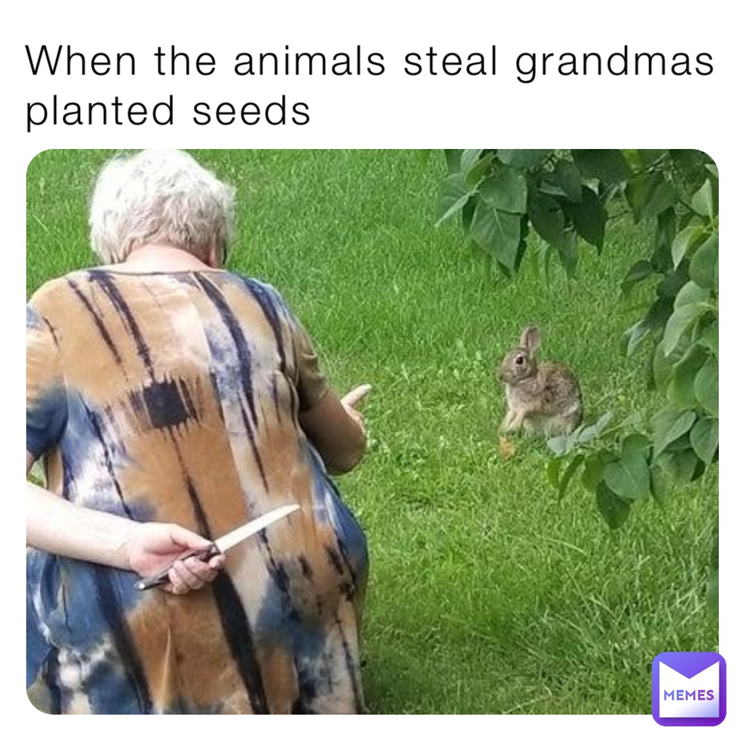 When the animals steal grandmas planted seeds