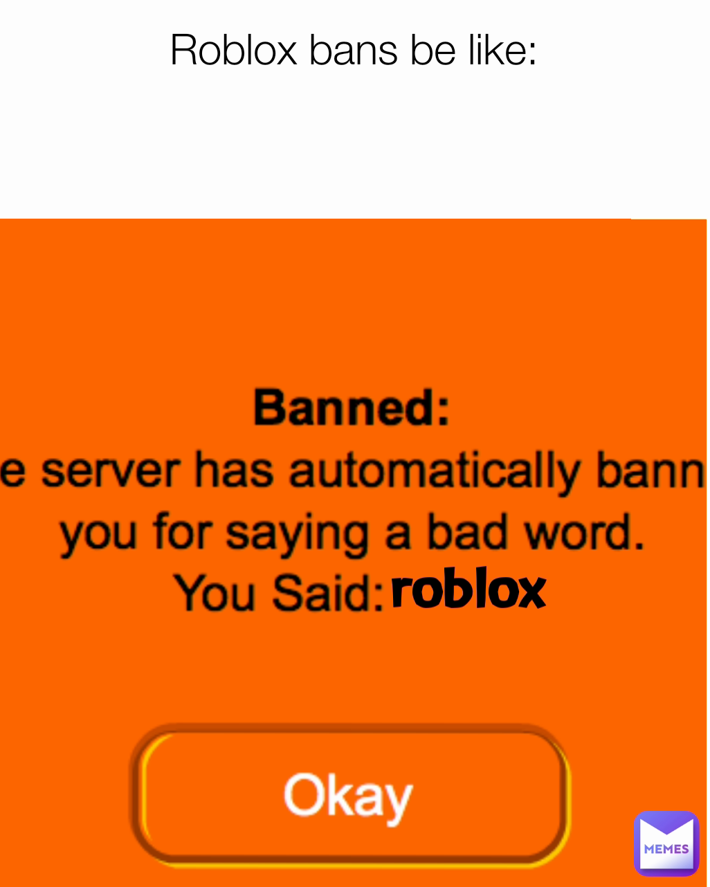 Roblox bans be like: roblox