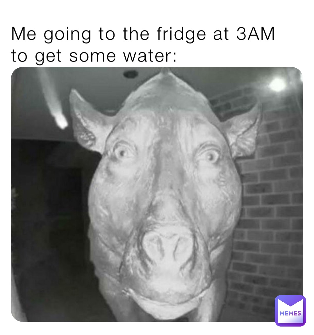 Me going to the fridge at 3AM to get some water: