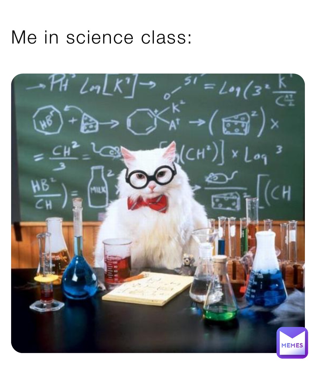 Me in science class: