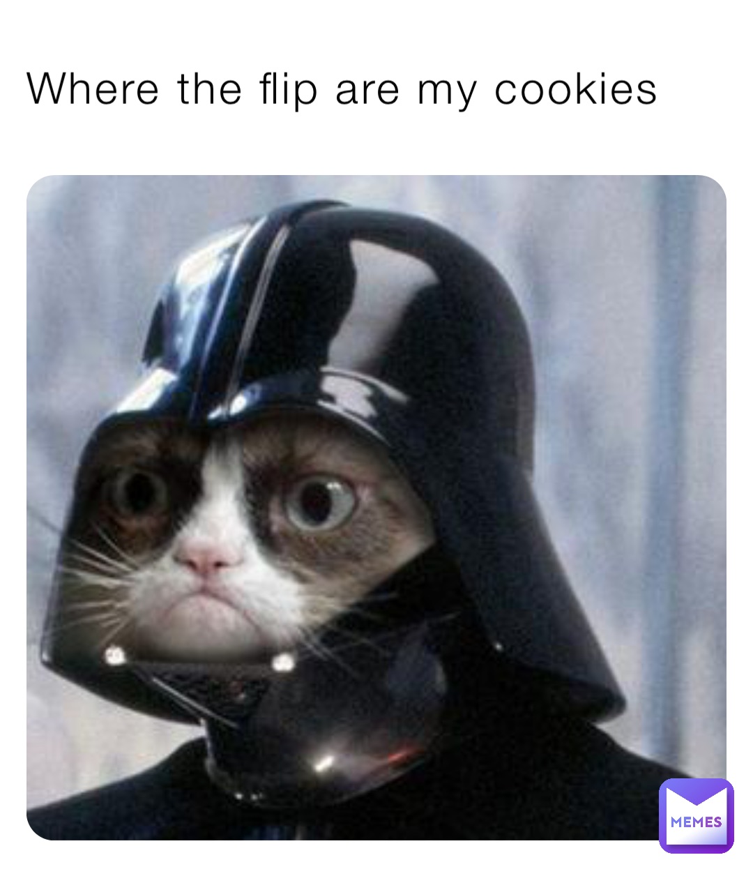 Where the flip are my cookies