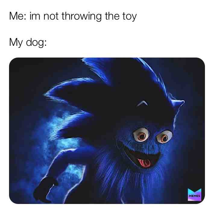 Meme preview