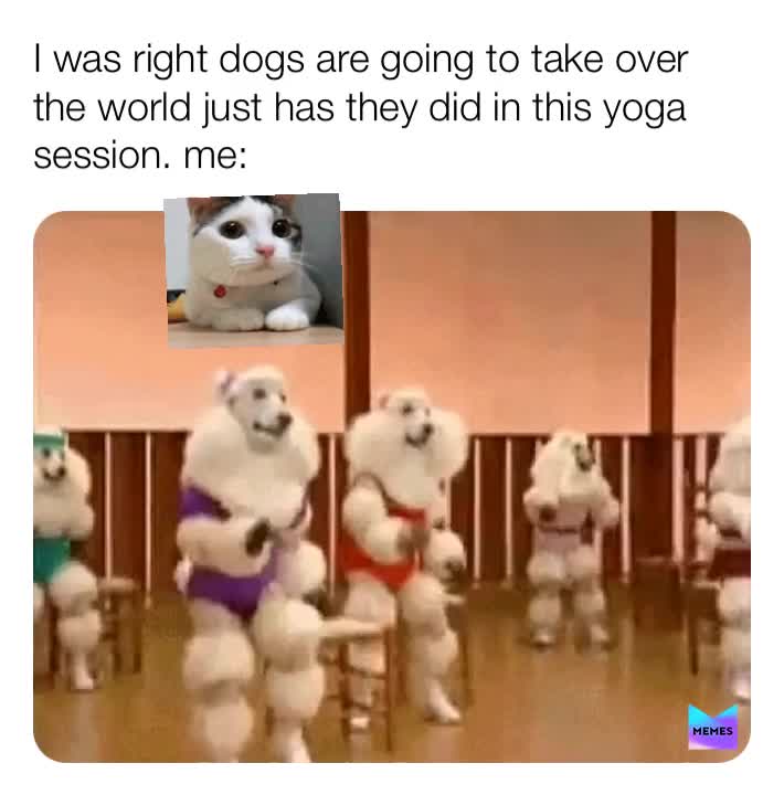 #weirdlife  #weirdmemes