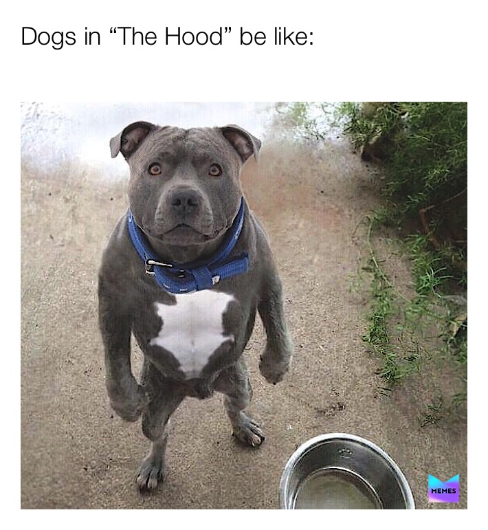 Meme by clean_meme_nolanv