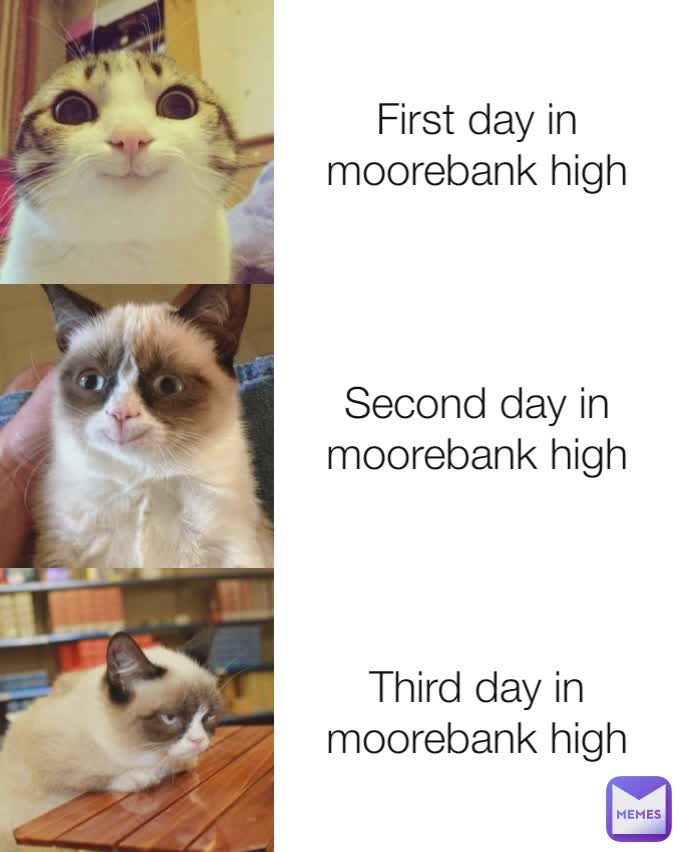 First day in moorebank high Second day in moorebank high Third day in moorebank high