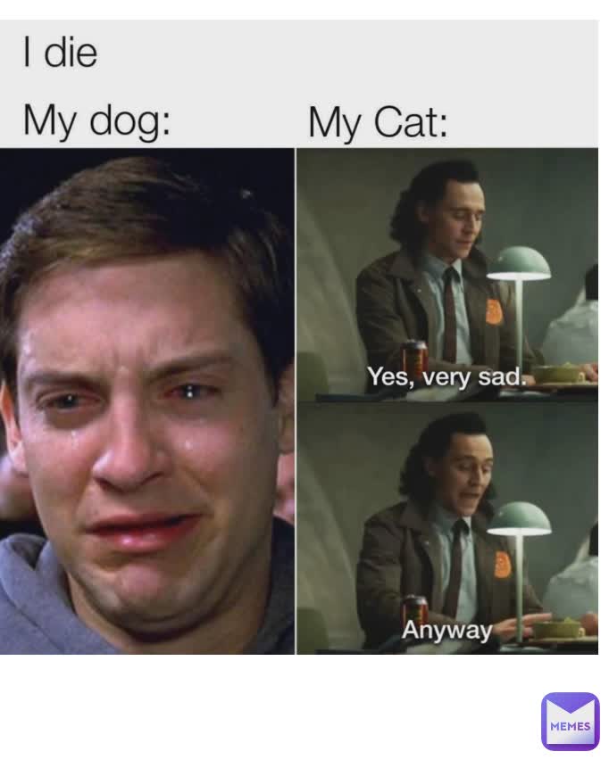 Type Text