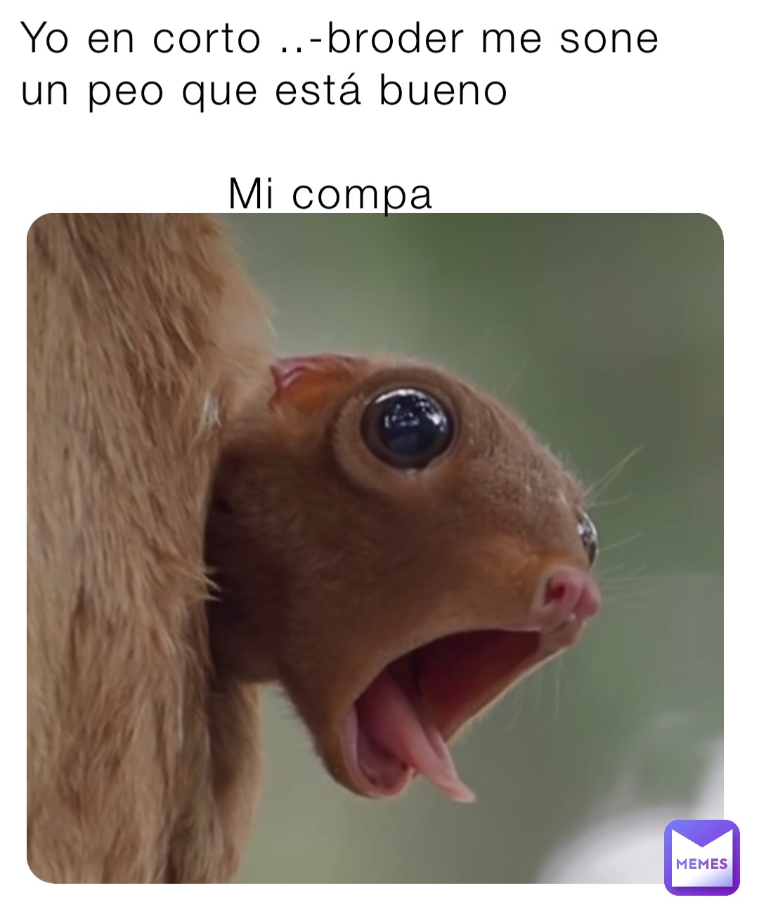 Yo en corto ..-broder me sone un peo que está bueno 

              Mi compa