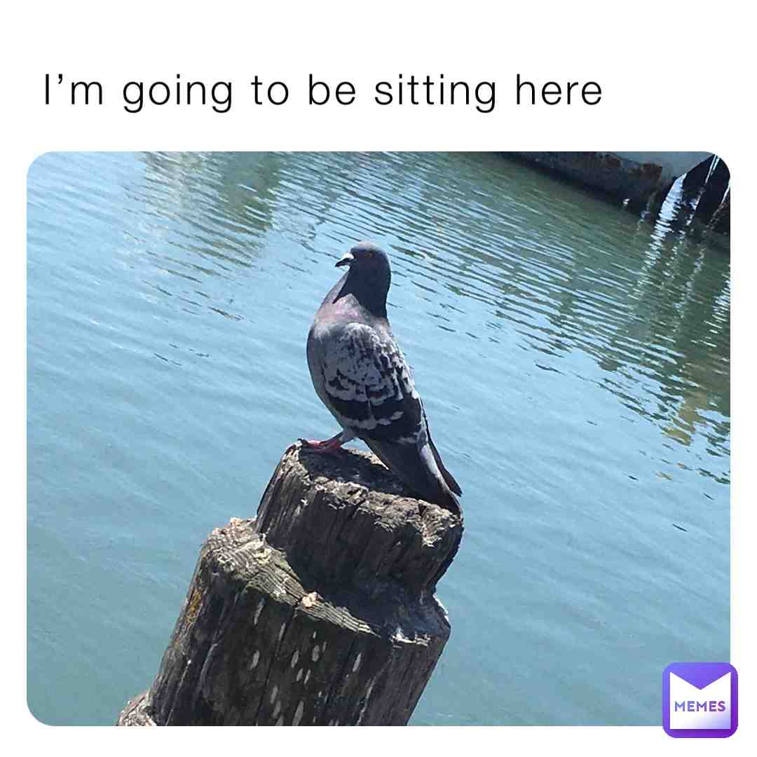 Meme shared by @king_shyguy