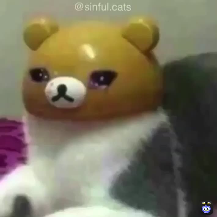 Meme shared by @king_shyguy
