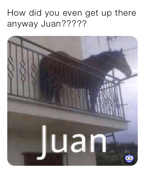 How did you even get up there anyway Juan?????