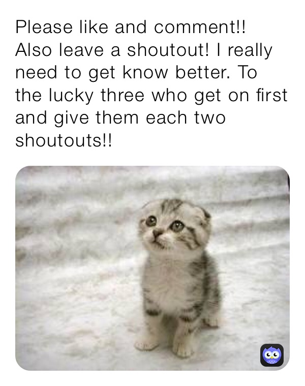 Please like and comment!! Also leave a shoutout! I really need to get know better. To the lucky three who get on first and give them each two shoutouts!! 
