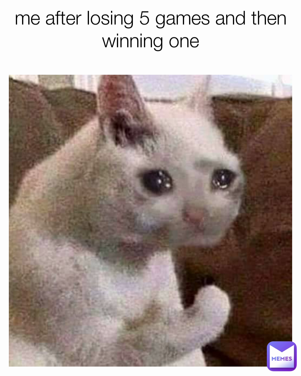 me after losing 5 games and then winning one
