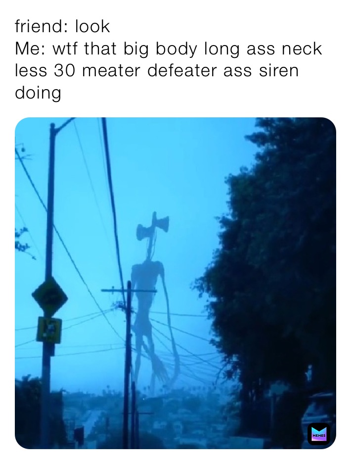 friend: look 
Me: wtf that big body long ass neck less 30 meater defeater ass siren doing 
