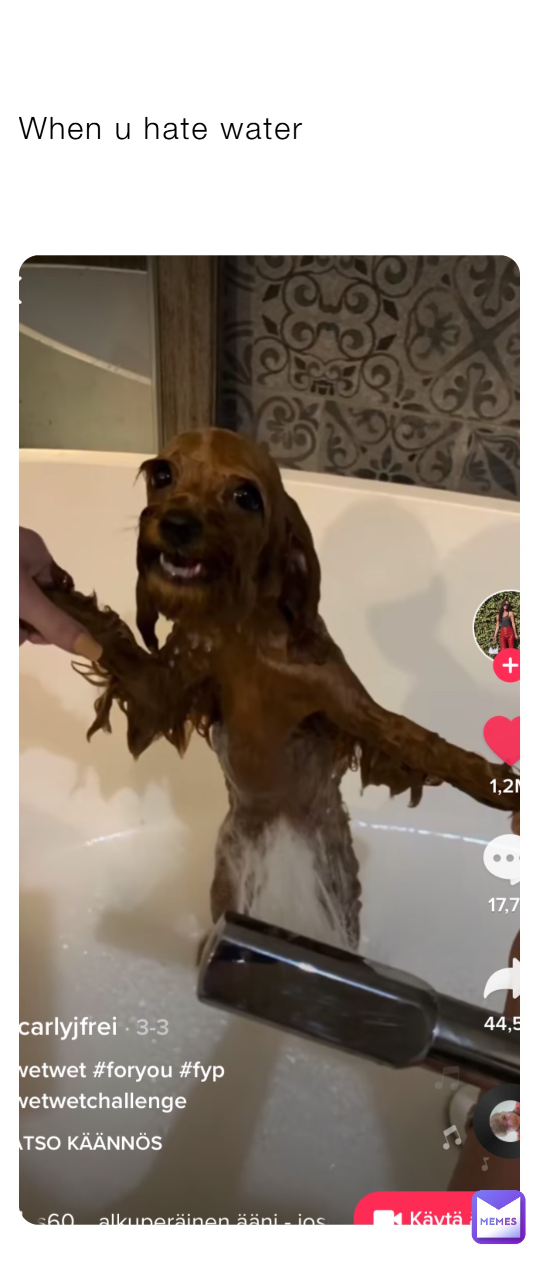 Meme by mythichsacul