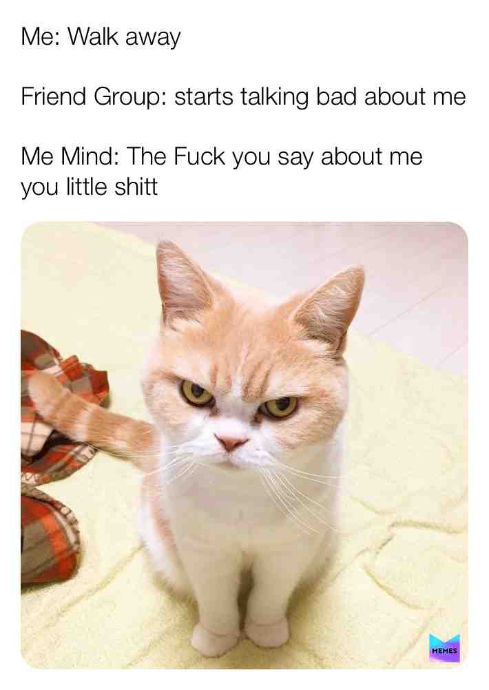 Meme shared by @memerbeast747