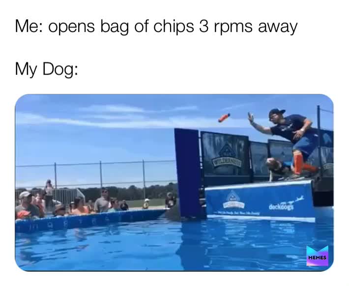 Meme shared by @memerbeast747