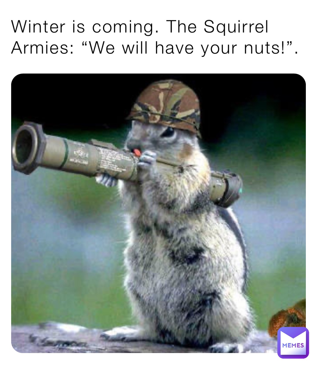 Winter is coming. The Squirrel Armies: “We will have your nuts!”.