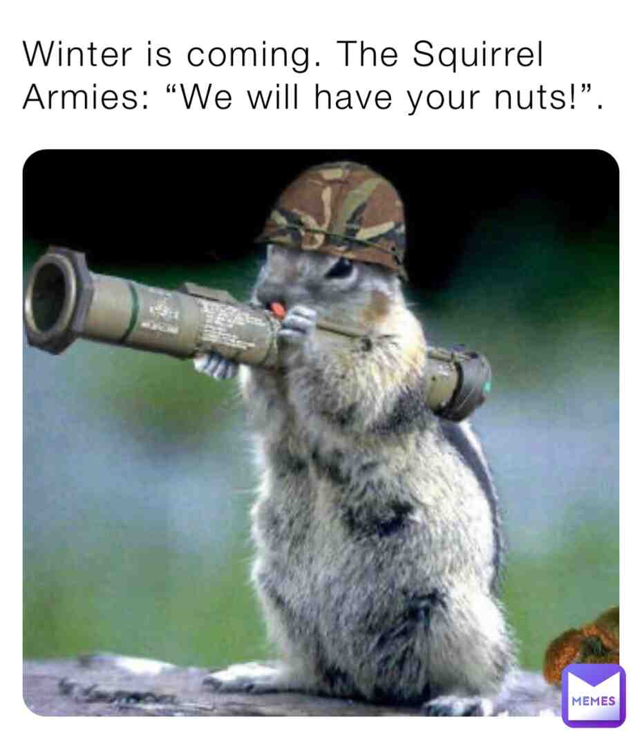 Meme shared by @The_Meme_Guy123