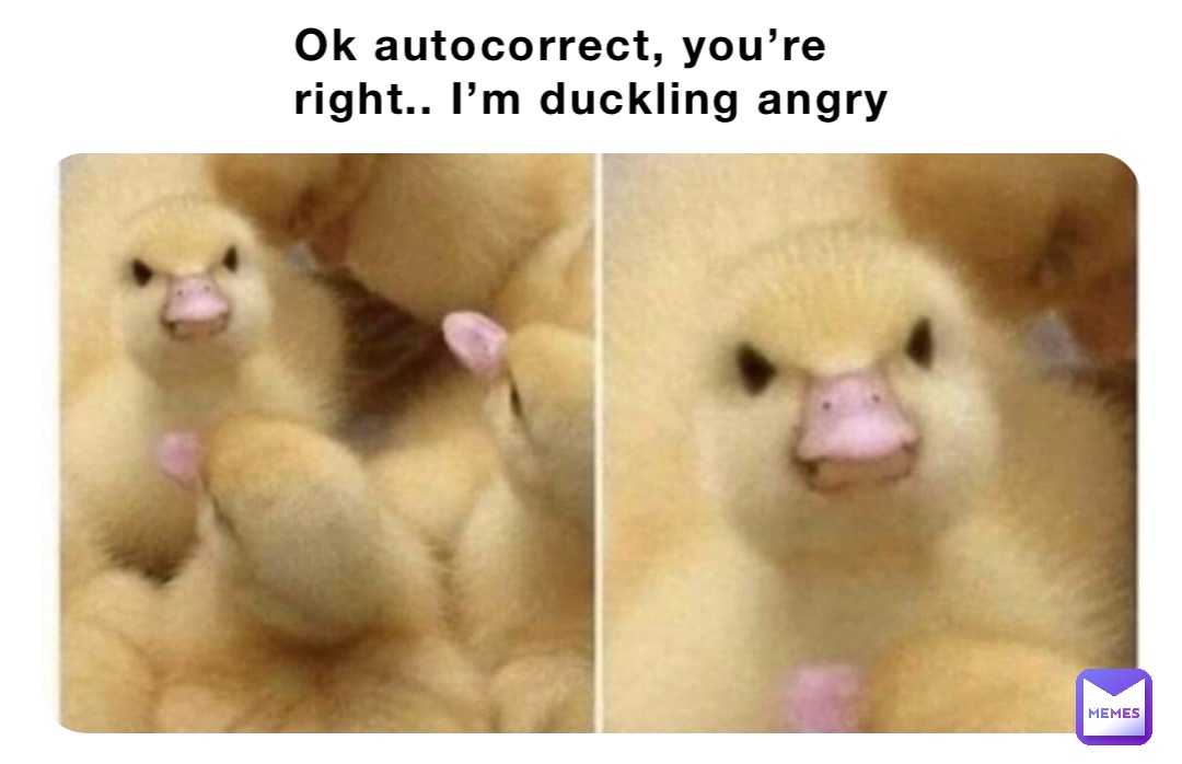 Ok autocorrect, you’re right.. I’m duckling angry