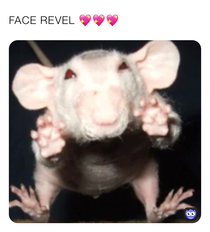 FACE REVEL 💖💖💖 | @spicy_friedpickle | Memes