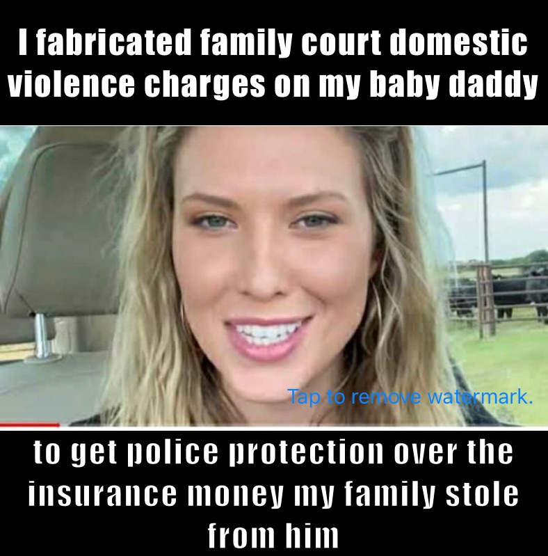 I fabricated family court domestic violence charges on my baby daddy   to get police protection over the insurance money my family stole from him 