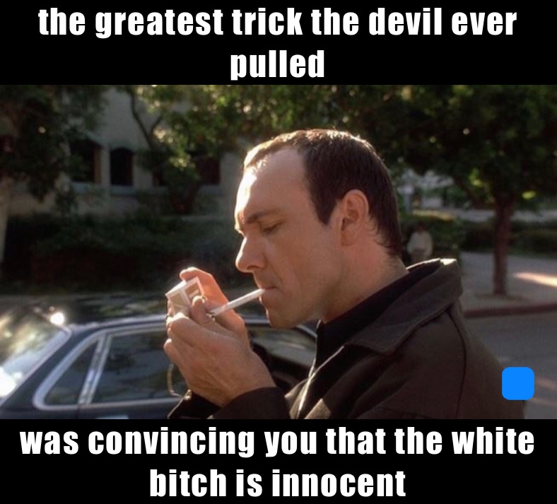 the greatest trick the devil ever pulled  was convincing you that the white  bitch is innocent 