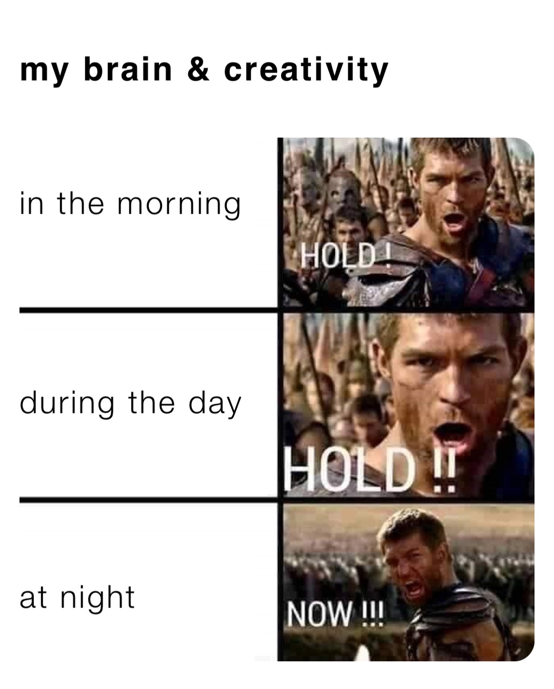 my brain & creativity in the morning during the day at night