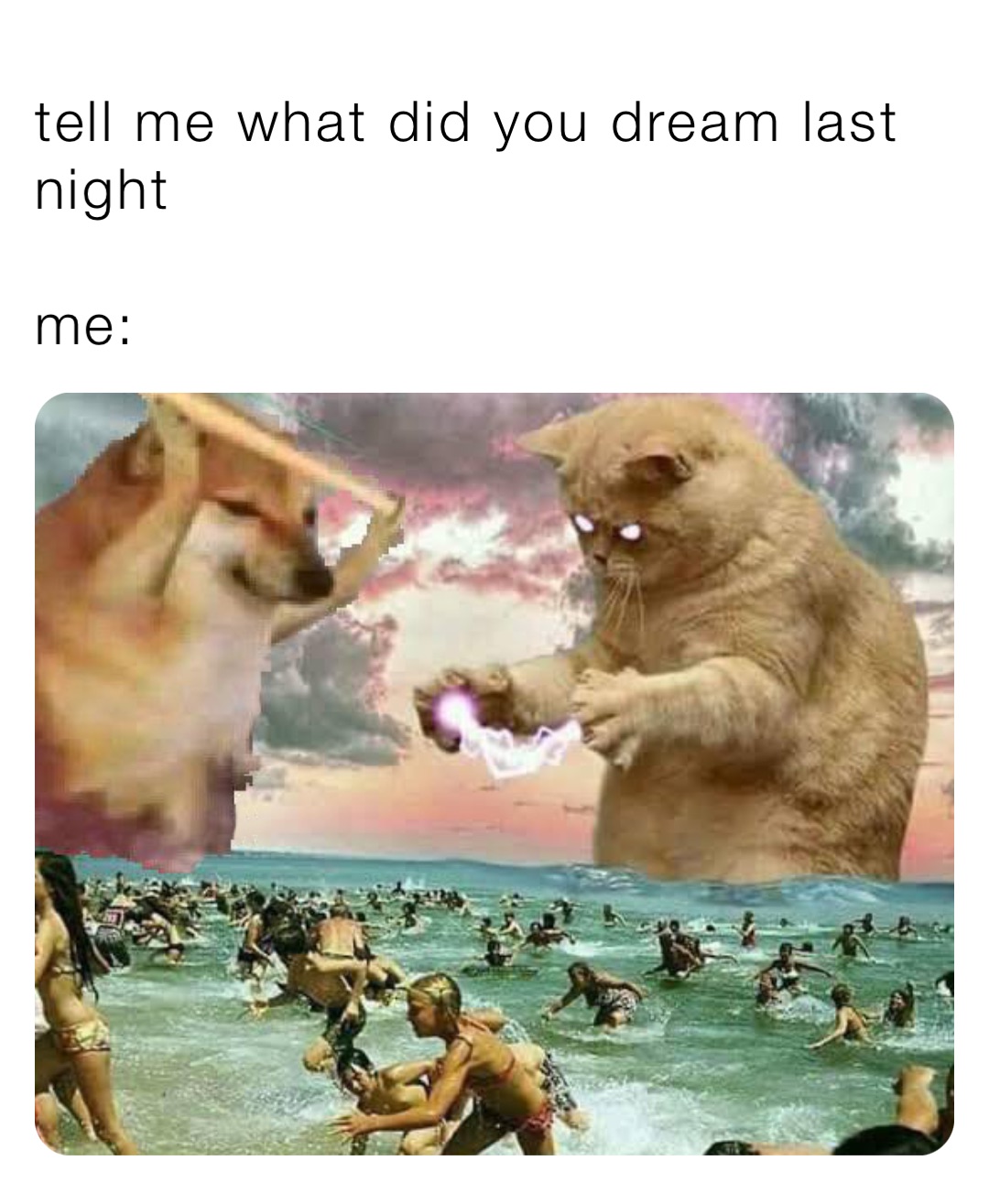 tell me what did you dream last night

me: