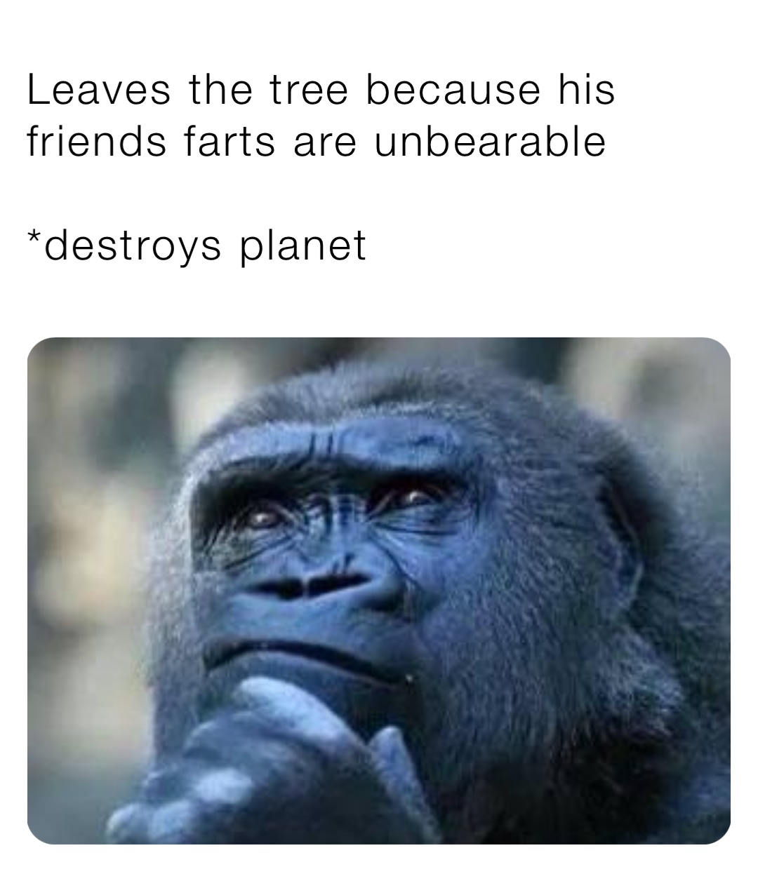 Leaves the tree because his friends farts are unbearable

*destroys planet