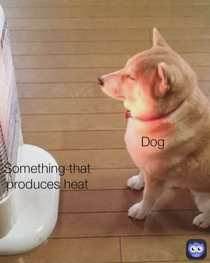 Something that produces heat Dog