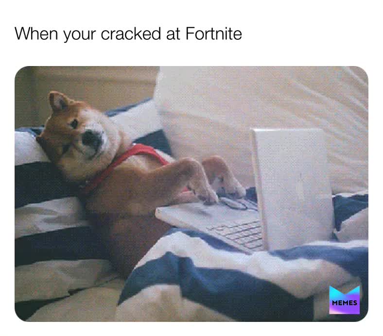 #fortnitememes  #dailymemes