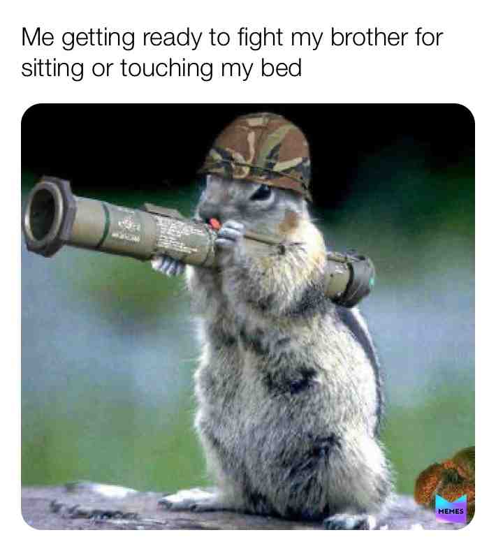 Meme shared by @n.j.y.h.ji.t.jk