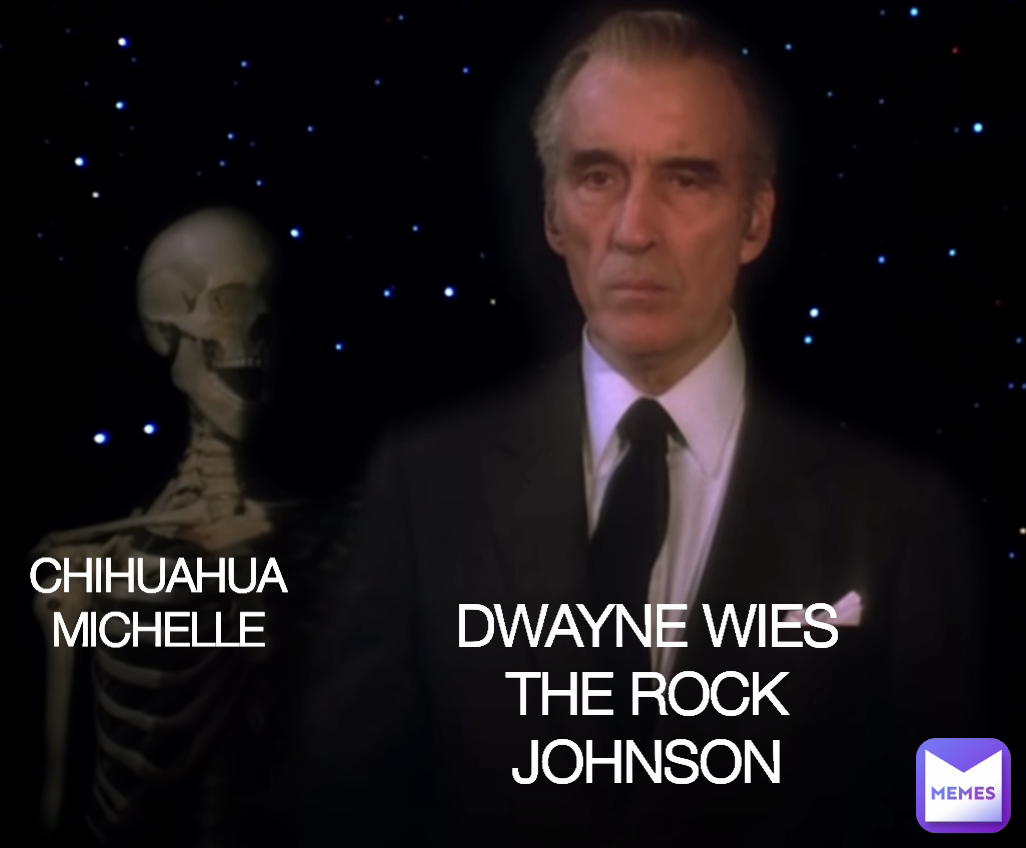 DWAYNE WIES THE ROCK JOHNSON CHIHUAHUA MICHELLE loredp Memes