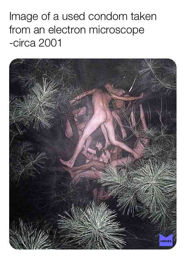 #memes #science #images #microscope