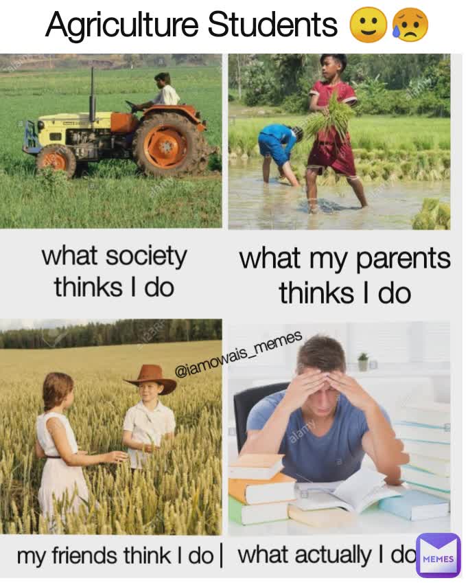 Agriculture Students 🙂😥 what my parents thinks I do what society thinks I do |  what actually I do @iamowais_memes my friends think I do