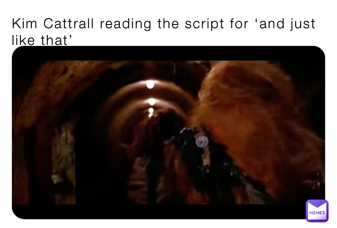 #humour  #funny  #satc  #kimcartrall  #andjustlikethat