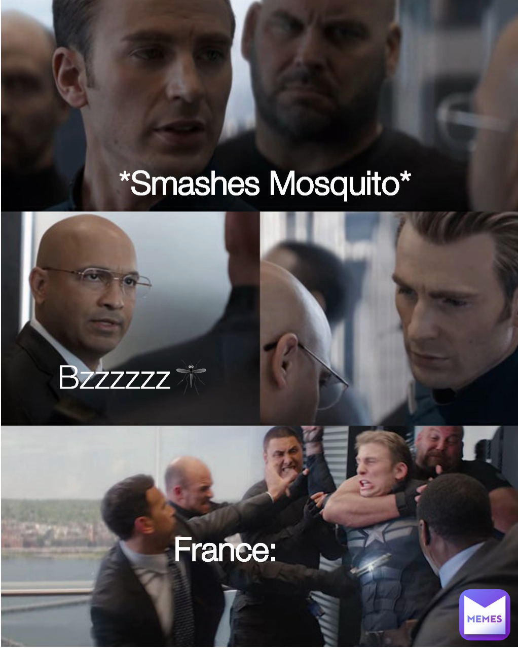 France: Bzzzzzz🦟 *Smashes Mosquito* 