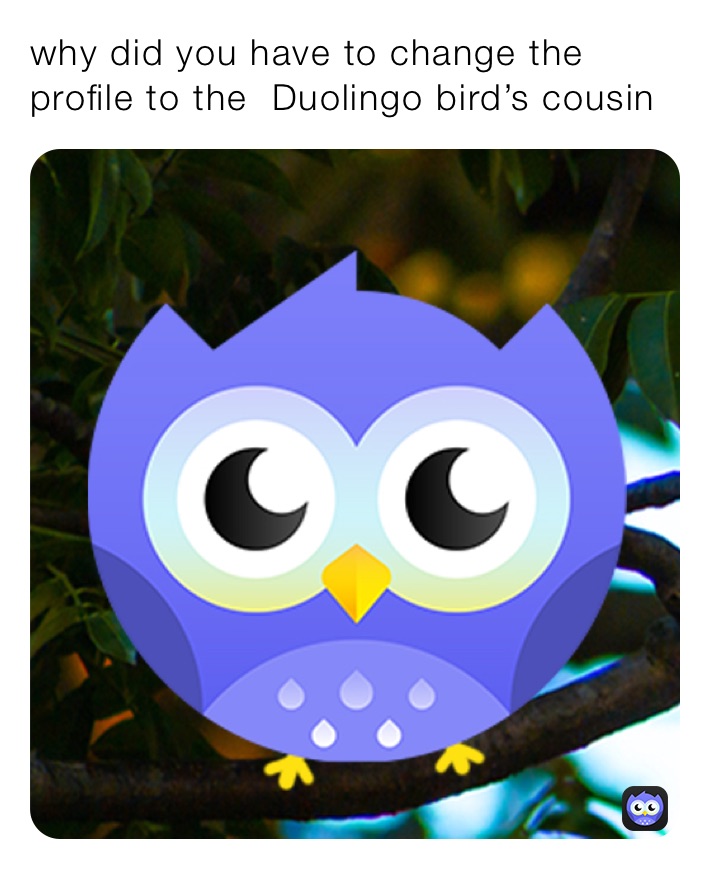 why did you have to change the profile to the  Duolingo bird’s cousin￼