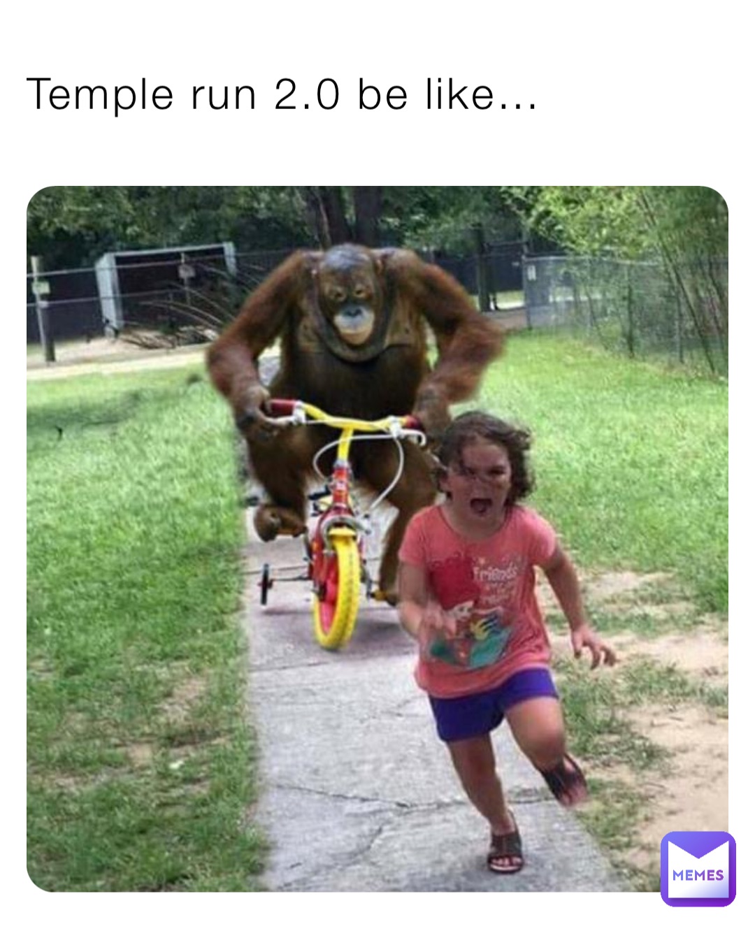 Meme by alex_pignataro