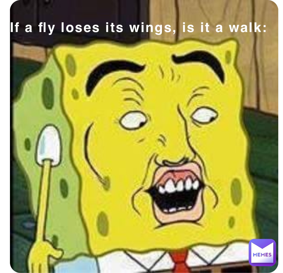 if-a-fly-loses-its-wings-is-it-a-walk-ooo-v1-memes