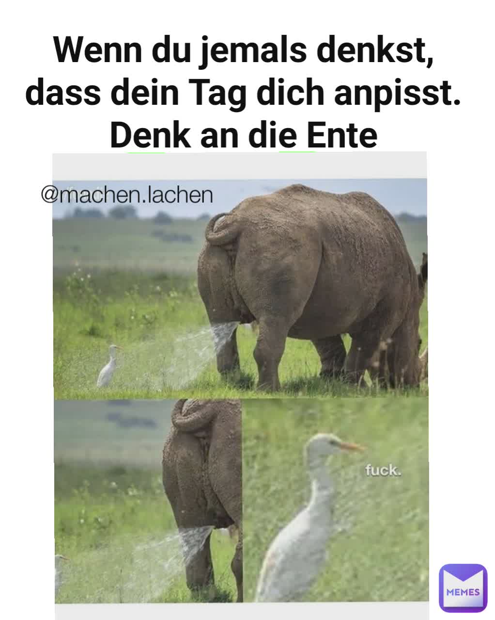 Type Text Wenn du jemals denkst, dass dein Tag dich anpisst. Denk an die Ente @machen.lachen 