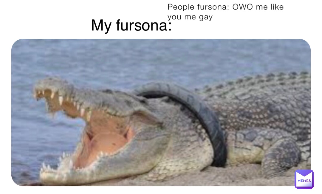 People fursona: OWO me like you me gay My fursona:
