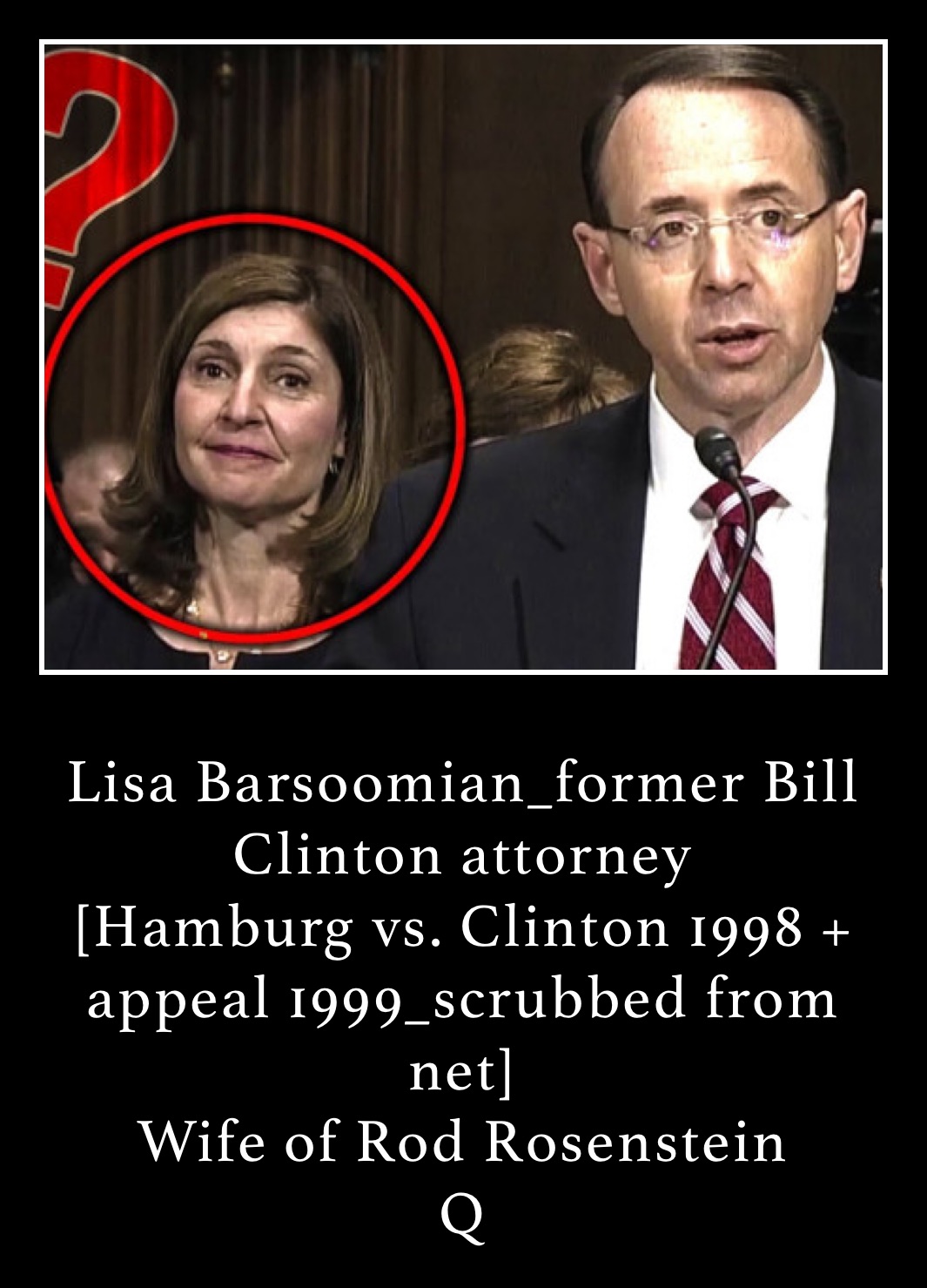 
Lisa Barsoomian_former Bill Clinton attorney 
[Hamburg vs. Clinton 1998 + appeal 1999_scrubbed from net]
Wife of Rod Rosenstein
Q