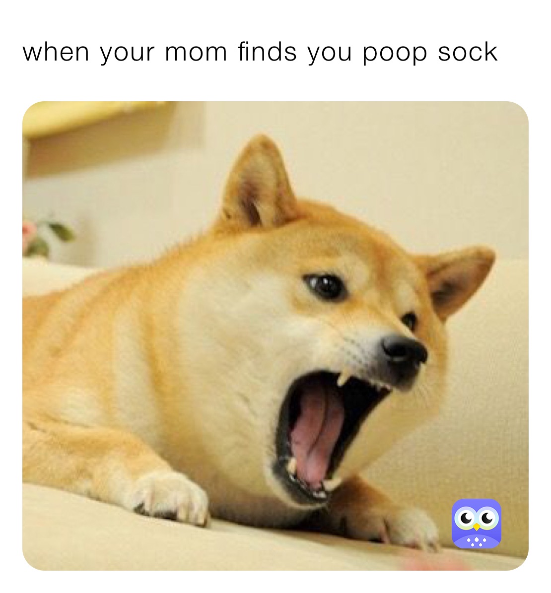 when your mom finds you poop sock