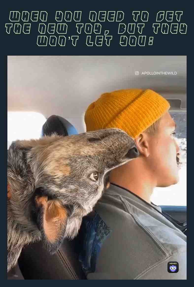 #sosad just let him get the toy #relatable