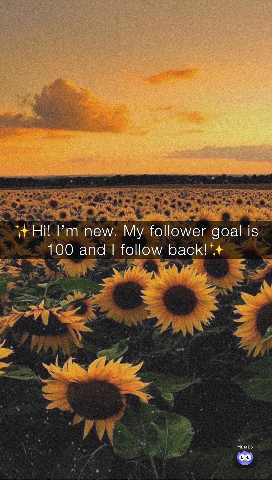 ✨Hi! I’m new. My follower goal is 100 and I follow back!✨