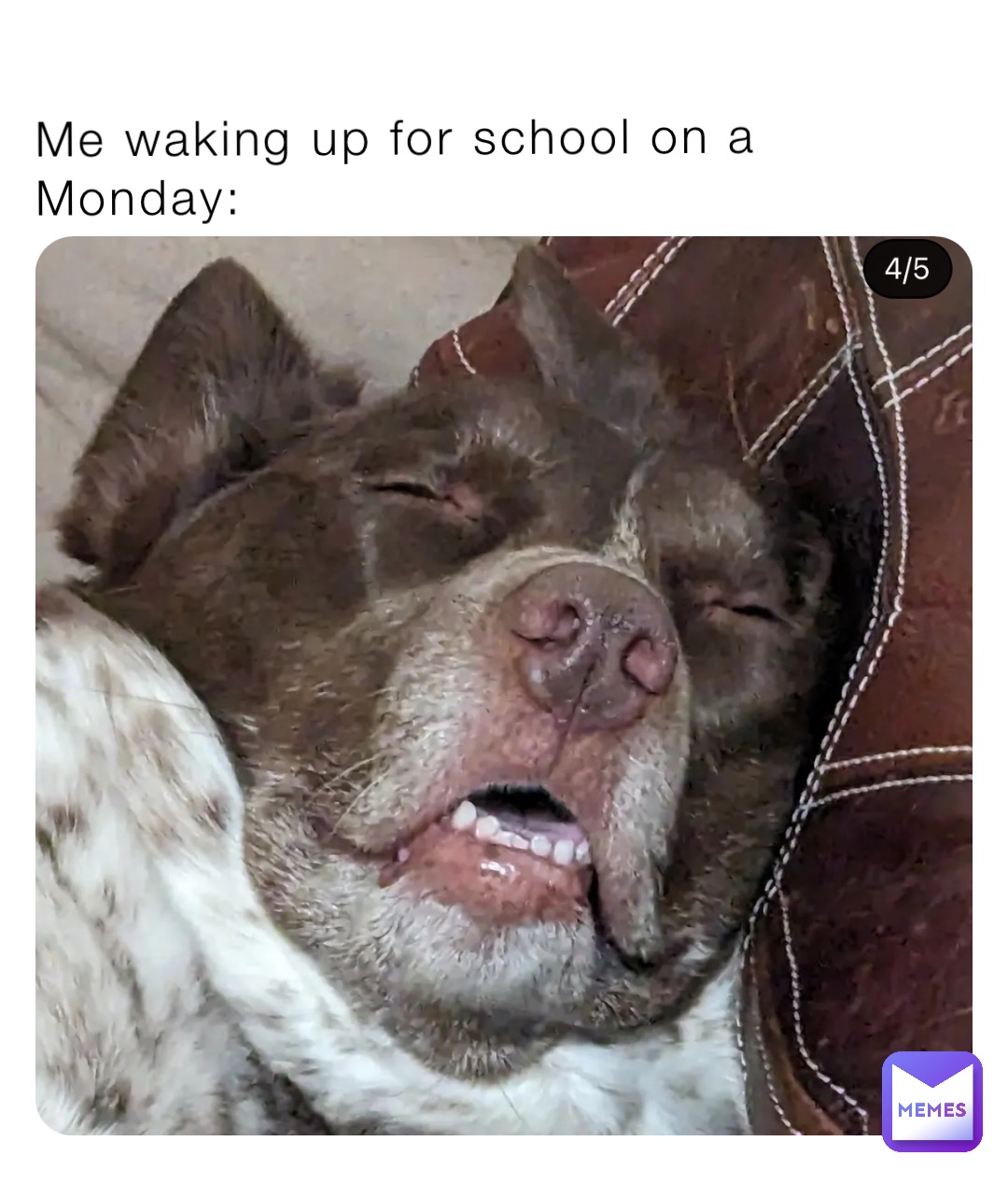 Meme by rare_pepe_6942067