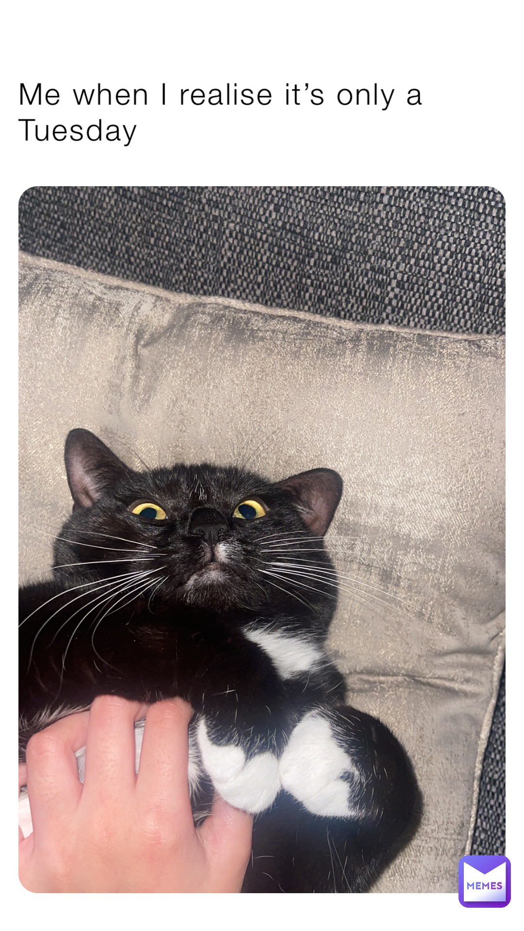 Me when I realise it’s only a Tuesday