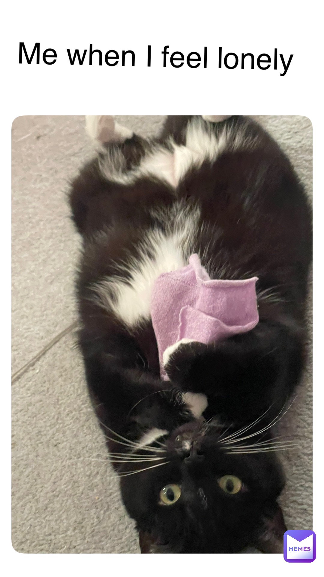 Meme by rare_pepe_6942067