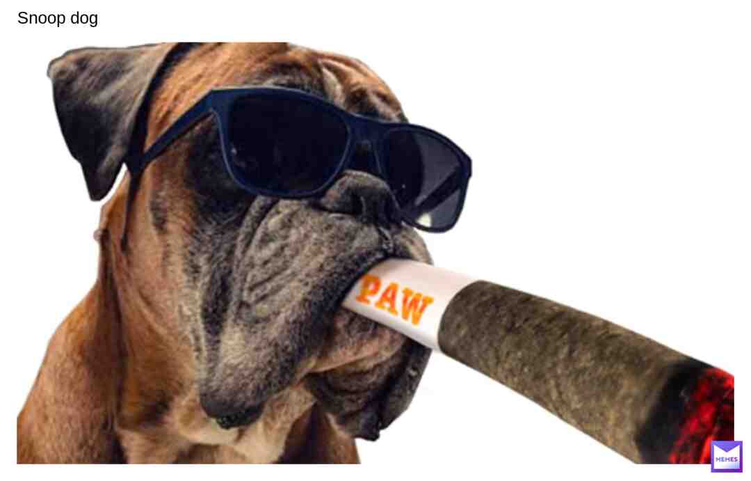 #snoopdog #snoopdogmeme #snoopdoggydog #snoopdogmemes #snoopin #snoopygang